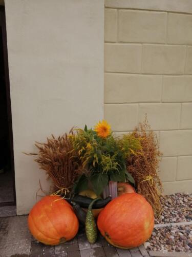 Dożynki parafialne 2020 ty 002