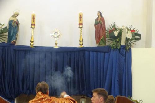 DSC03535