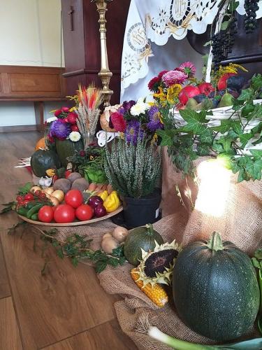 Dozynki Dzierzkowice 2021 006