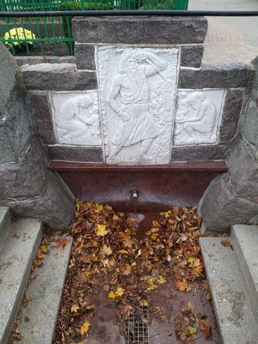 Pielgrzymka Gietrzwald 2021 024 Gietrzwald