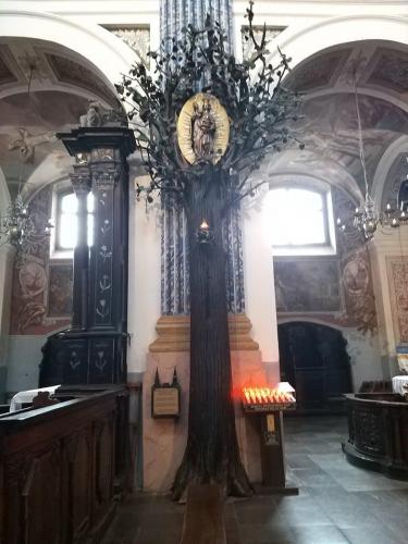 Pielgrzymka Gietrzwald 2021 067 SwLipka