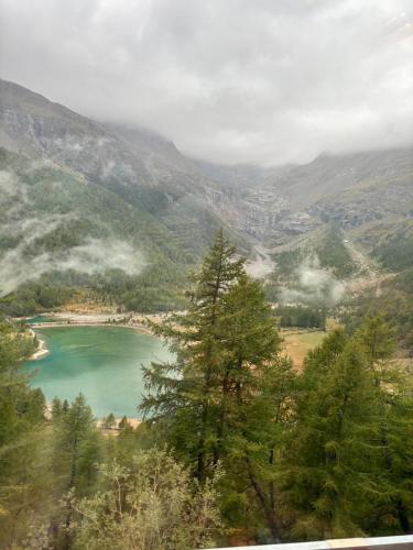 wlochszwajc prja24 099