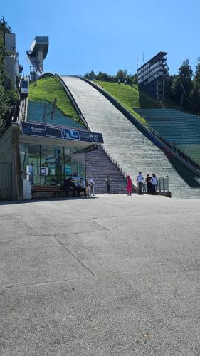 wlochszwajc prja24 109