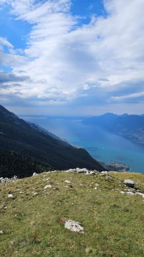 wlochszwajc prja24 145