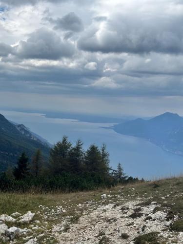 wlochszwajc prja24 150
