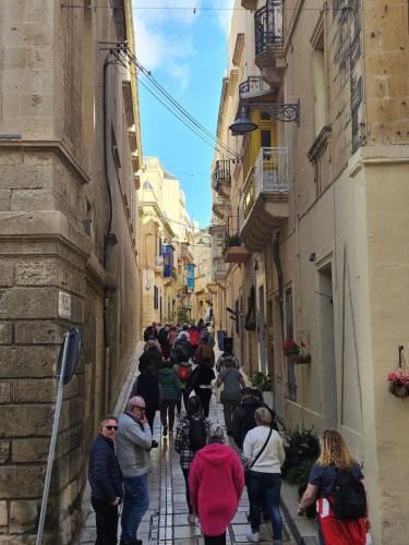 maltaprja25 114